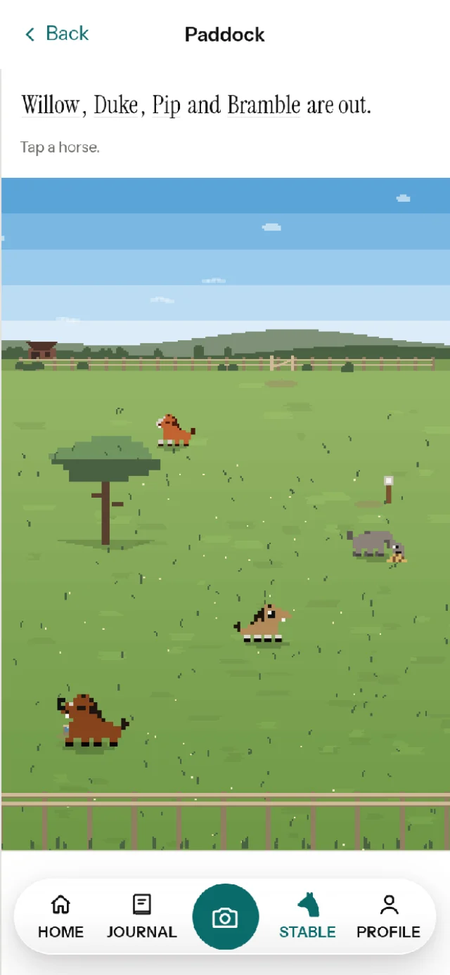 The paddock in the Neigh app: four pixel horses out in a field.